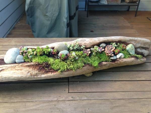Caring for Your Driftwood Planter