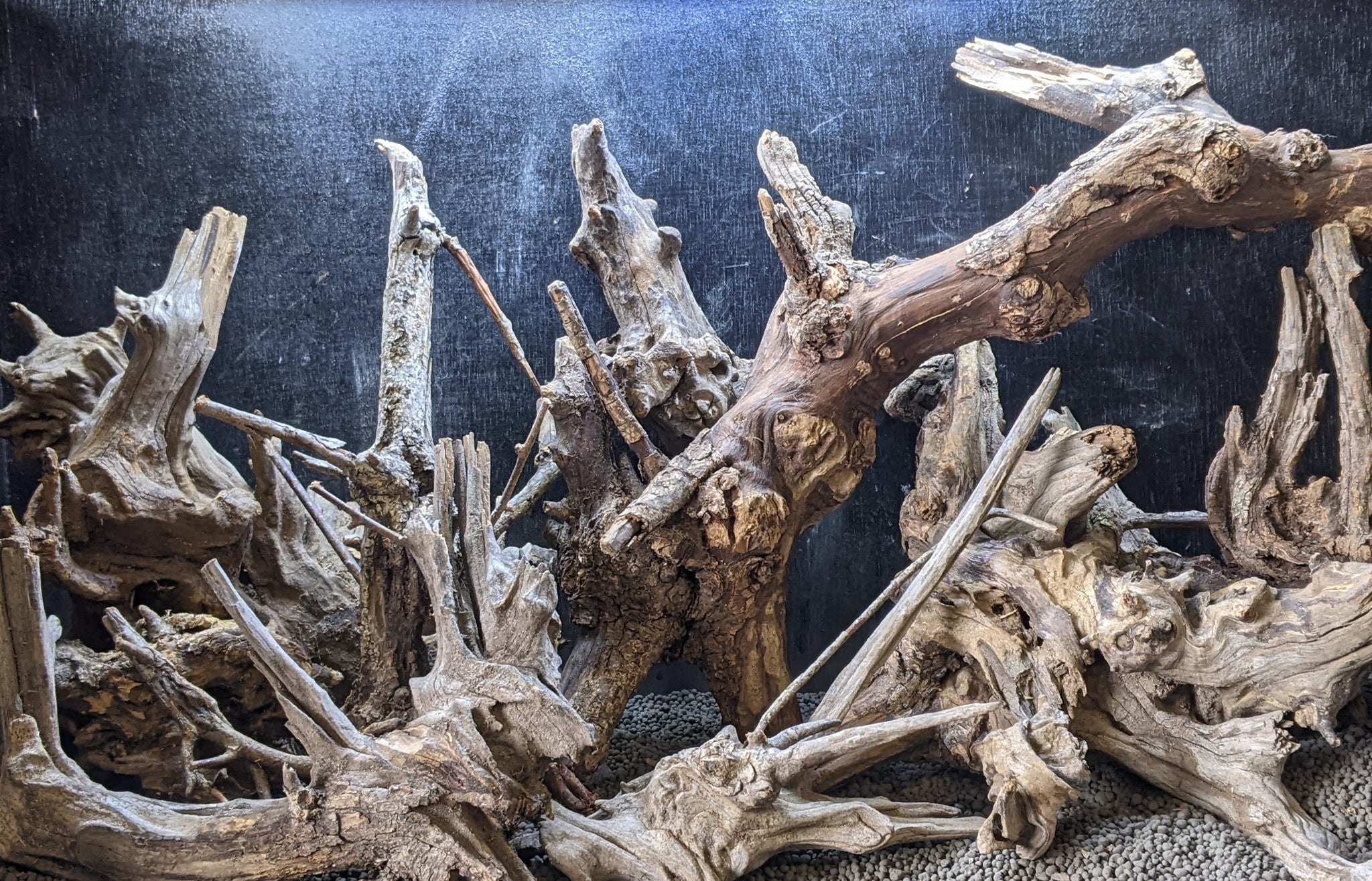 Discover the Natural Elegance of Decorative Driftwood