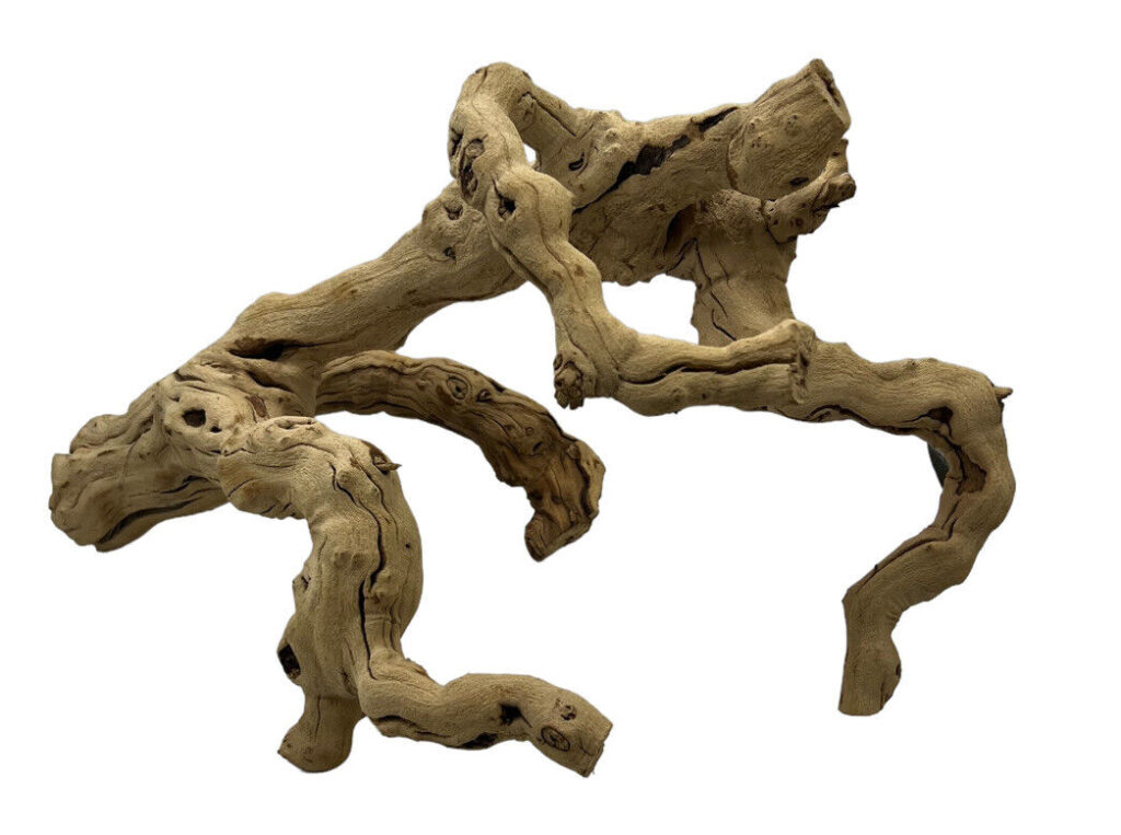  Decorative Driftwood for reptile or fish tank Lizard HUGE piece 21” X 12” Gecko