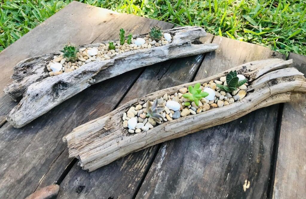 Driftwood Planters to Revitalize Your Garden
