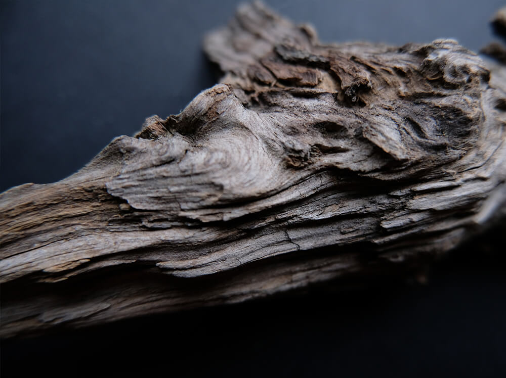 Sourcing and Preparing Driftwood
