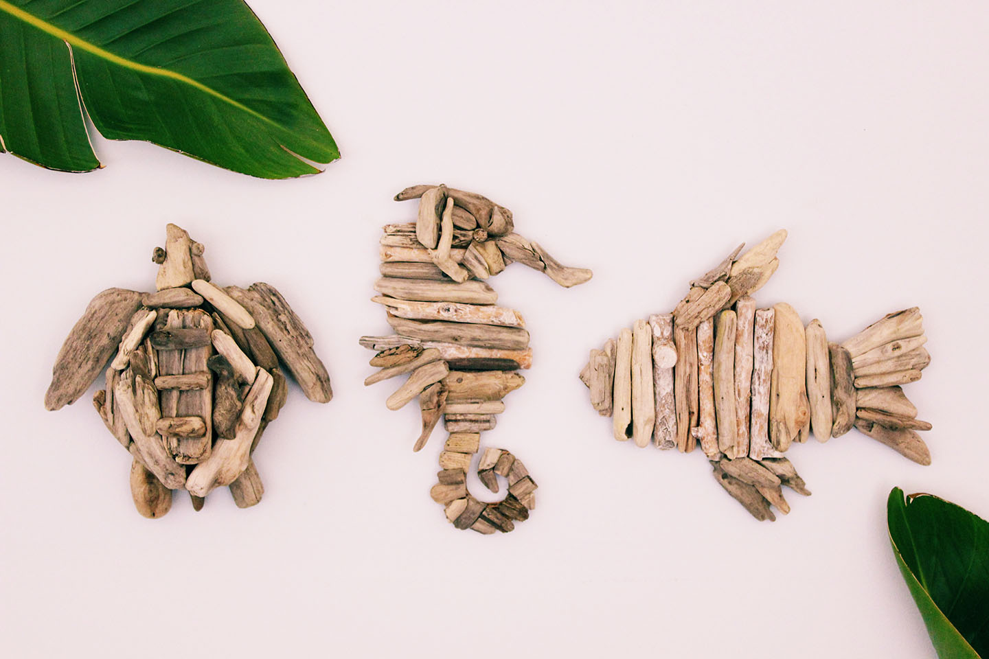 Driftwood Wall Art – A Unique Touch to Home Decor