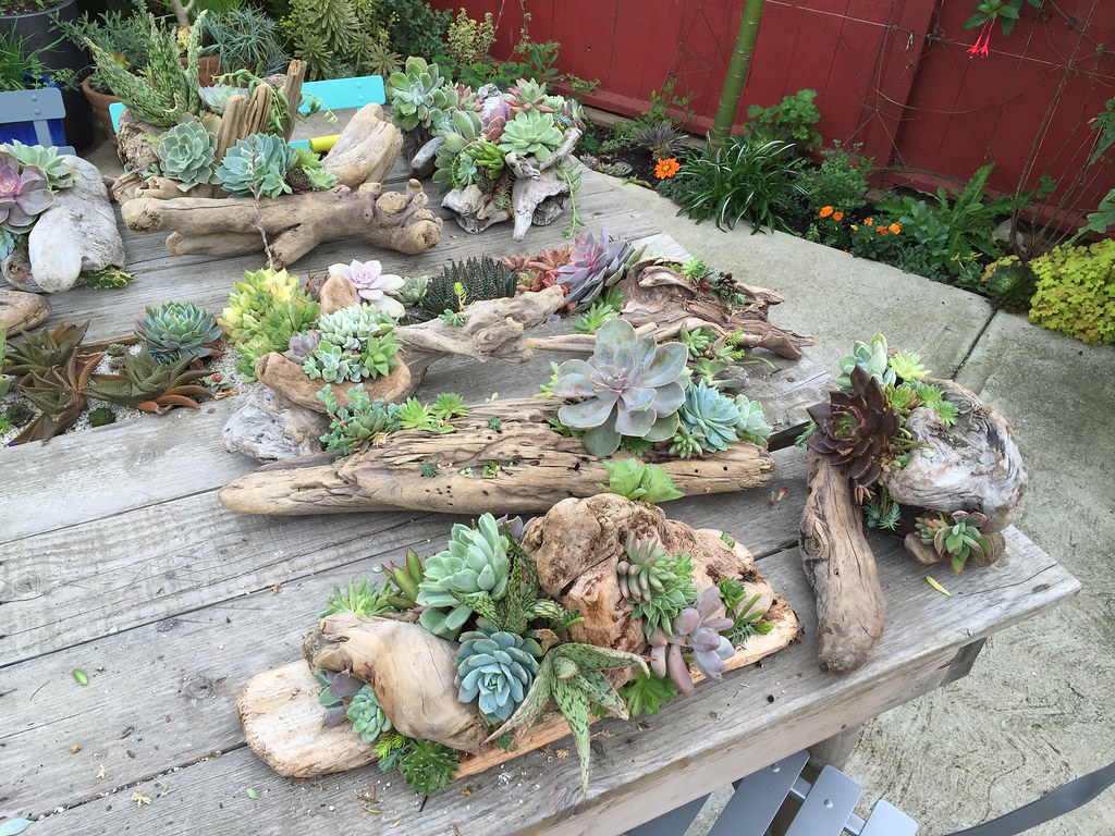 Types of Driftwood Centerpieces