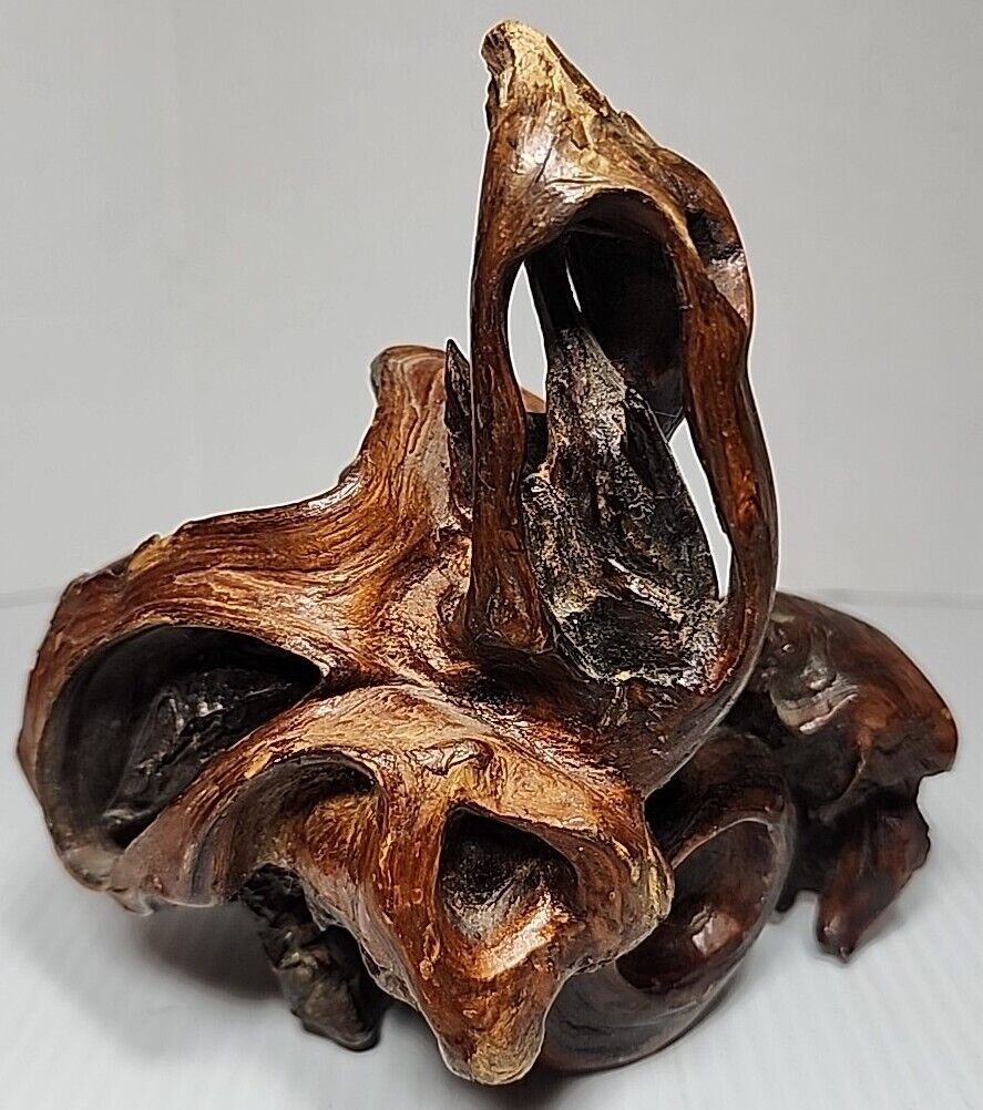 Vintage Driftwood Natural Sculpture Root Skull Shaped Red Burl Wood Decor Druid
