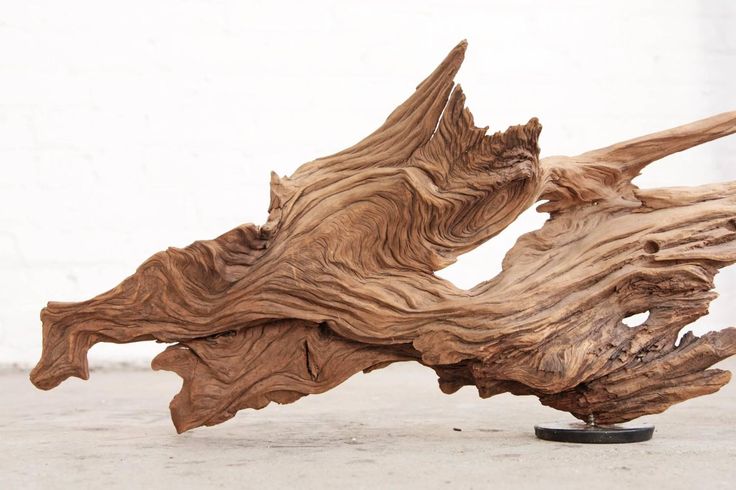 Where to Buy Driftwood Sculptures