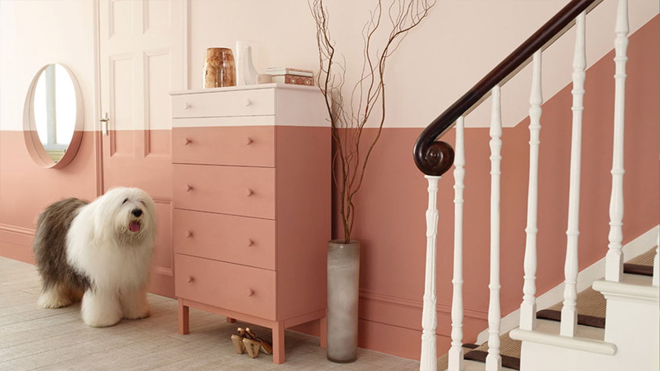 The Ultimate Guide to Choosing Popular Dresser Colors for Your Home